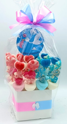 Centro 16 Mini Brochetas Chuches Gender Reveal Cigueña